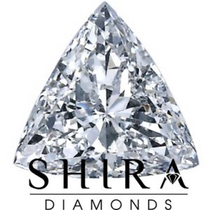 Trillion_Diamonds_in_Dallas_-_Shira_Diamonds_hi2c-oa (1)