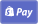 shop-pay-icon